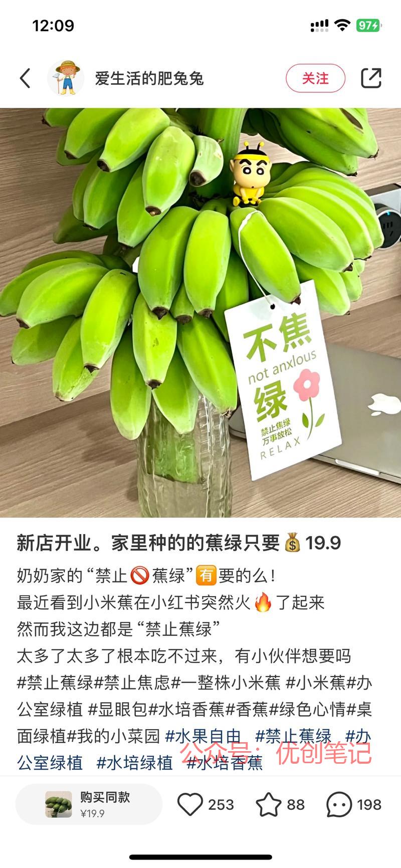 今年3月，一种新的绿植…#情报-搞钱线报📢论坛-网创交流-优创圈